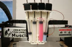 soft muscle printer