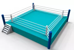 The boxing ring