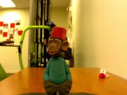 The Shame Monkey