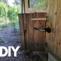 Automatic chicken coop door