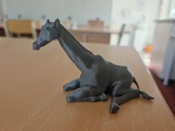 Baby Giraffe