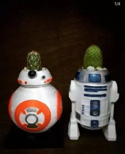BB8 planter