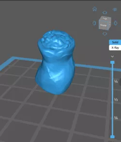 burrito