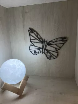 Butterfly - Butterfly