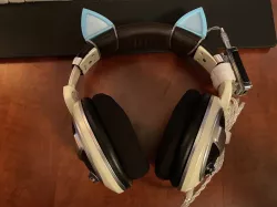 CAD ears