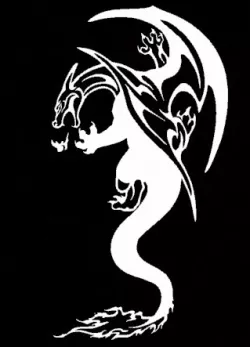 Charizard 2D