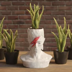 David Bowie Planter