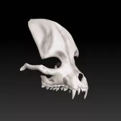 Dog Skull Mask.