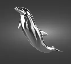 Dolphin
