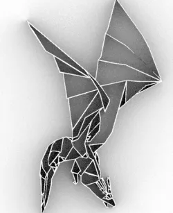 DRAGON 2D