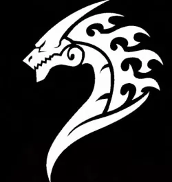 DRAGON 2D