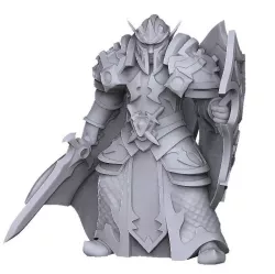 Elf paladin