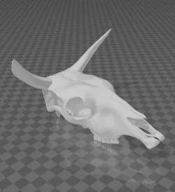 Esqueleto vaca - Skull - Skull