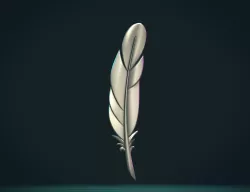 Feather