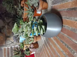 flower pot sphere