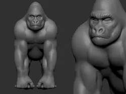 gorilla study