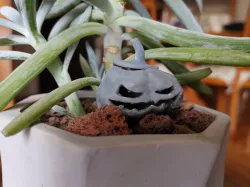 Halloween Pumpkin 1