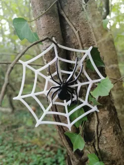 Halloween Spider