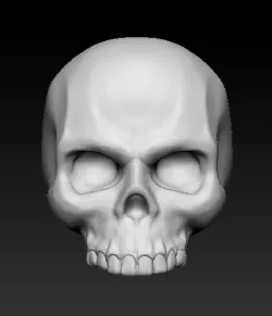 Just a skull (freesource)
