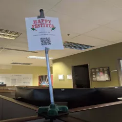 Mini Festivus pole