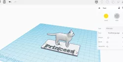 My Cat