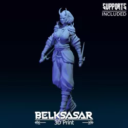 Ninja Girl 3D print model