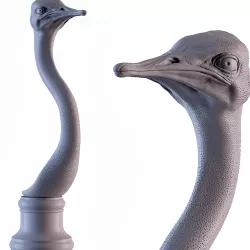 Ostrich