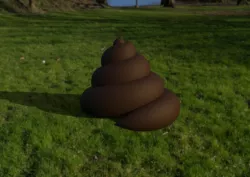 Poop_Poo