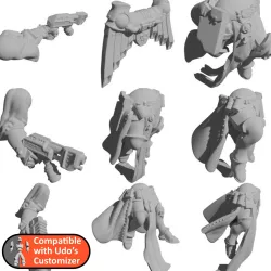Remix of Space Nun Flying Chicks for Udo's Customizer