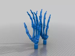 Skeleton Hands