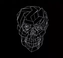 Skull Geometric 2D