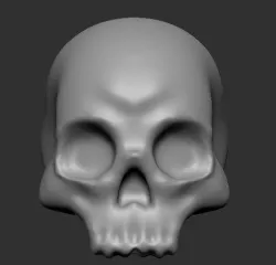 Skull