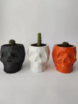 SKULL POT MOULD