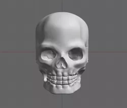 Skull