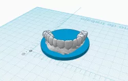 teeth