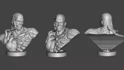 tyrant t-002 residual evil bust
