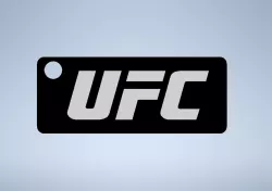 UFC keychain