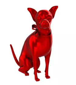 a dog