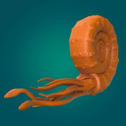 Ammonite