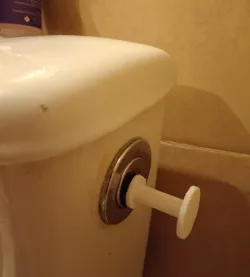 Backpack type toilet button adapter