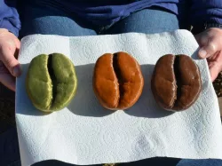 Big Coffee Bean