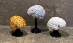 Bobbling Brain