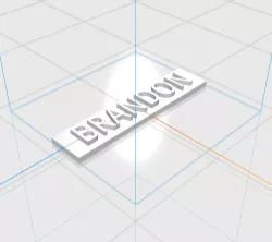 BRANDON letters