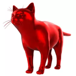 Brawler cat