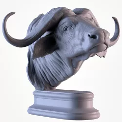 Buffalo African Head
