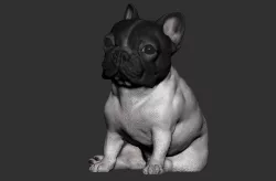 Bulldog French