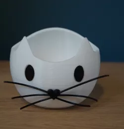 cat pot