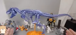 Cool Tyrannosaurus Rex