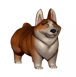Corgi
