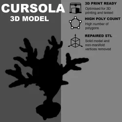 Course (high poly) - Pokemon